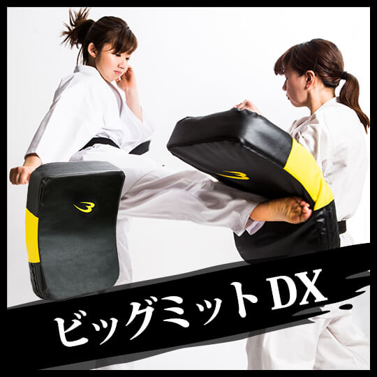 ビッグミットDX
