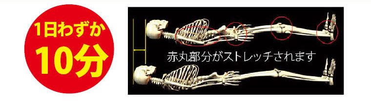 赤丸部分がストレッチされます