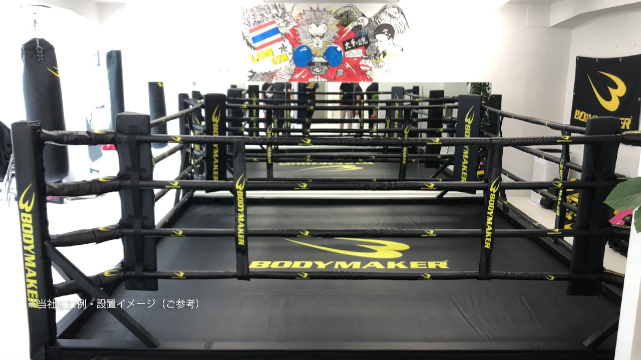 LION GYM