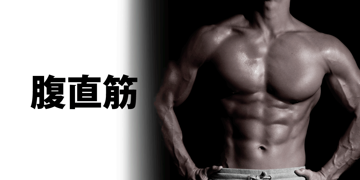 腹直筋