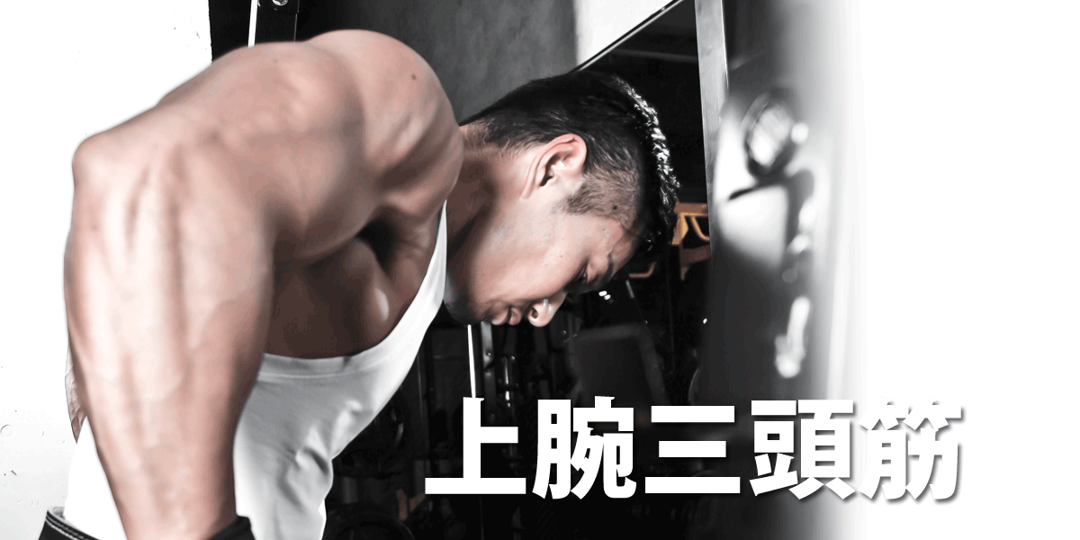 上腕三頭筋