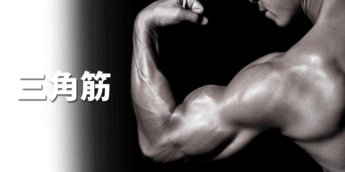 三角筋