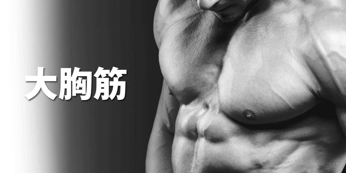 大胸筋