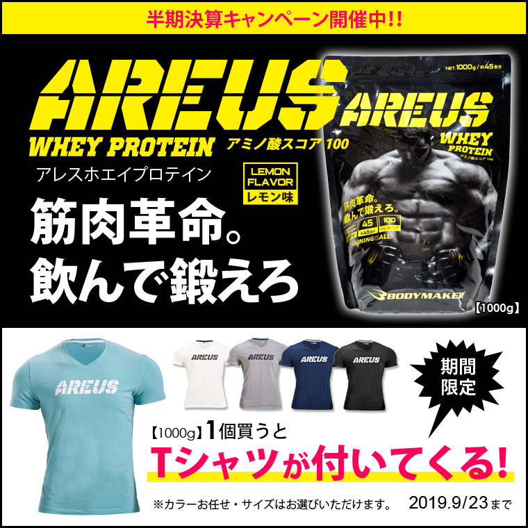 AREUS 粉末プロテイン レモン味 1kg AREUS Tシャツ セット