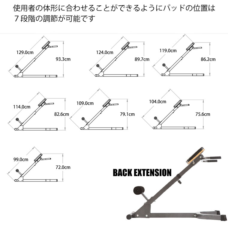 バックエクスベンチャー 背筋横腹用【美品】