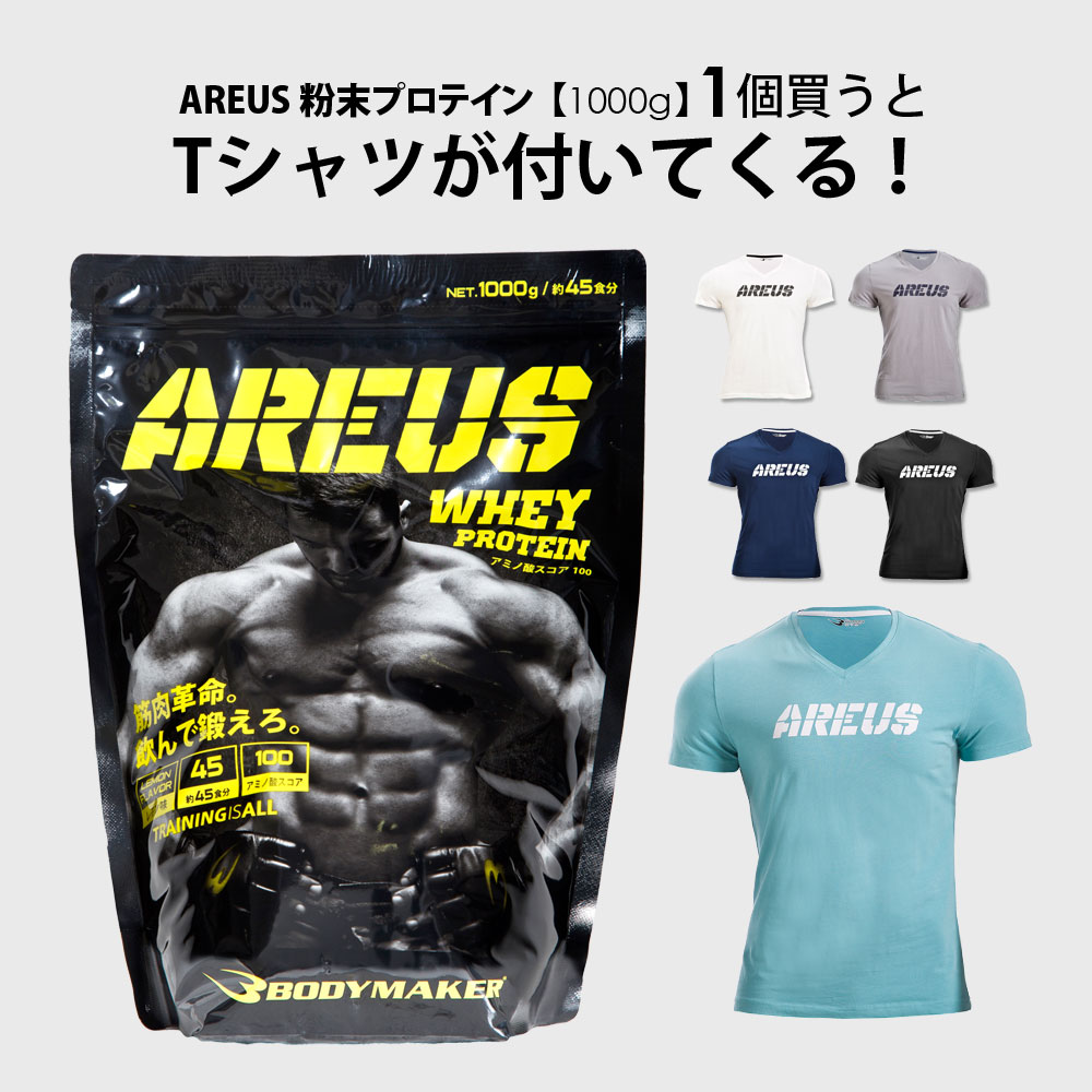 AREUS 粉末プロテイン レモン味 1kg AREUS Tシャツ セット
