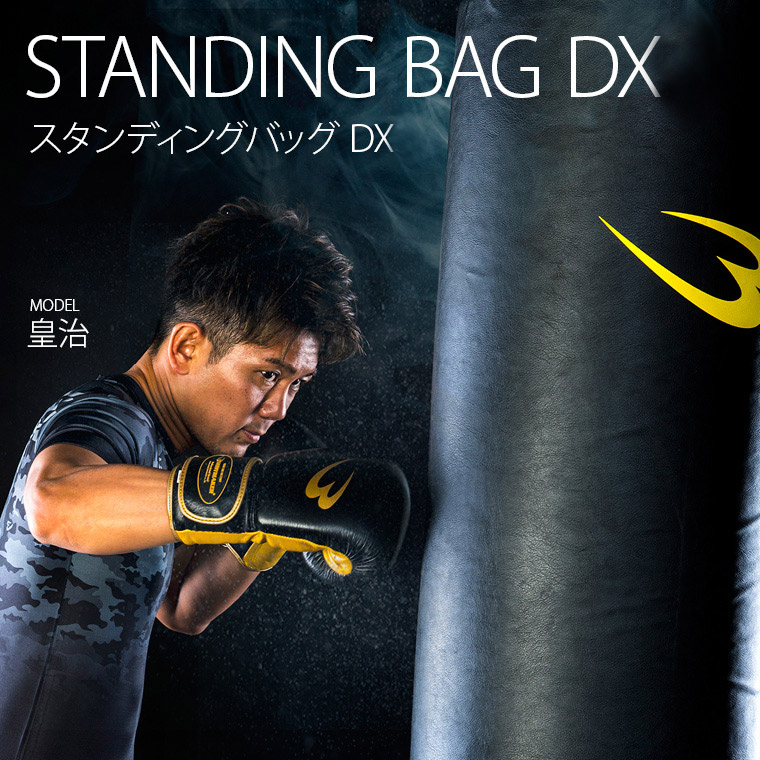 運動不足解消 スタンディングバッグDX KB019 美品  引取りトレーニング・エクササイズ