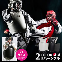 ボディプロテクターハードモデル