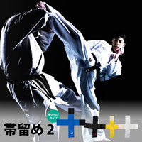 帯留め２