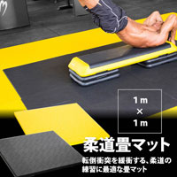 １ｍ×１ｍ柔道畳マット ４ｃｍ厚 ブラック