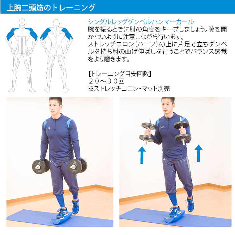 クロームダンベル(ローリングタイプ) 筋トレ トレーニング フィジカルトレーニングトレーニング例 ダンベルトレーニングメニュー