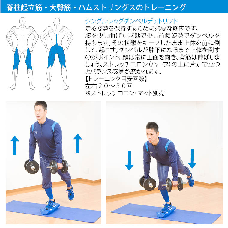 クロームダンベル(ローリングタイプ) 4kg 筋トレ トレーニング フィジカルトレーニング トレーニング例 ダンベルトレーニングメニュー 脊柱起立筋 大殿筋 鍛え方