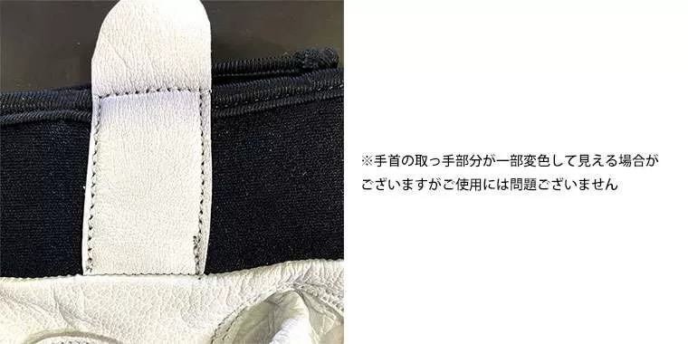 トレーニンググローブ2本革
