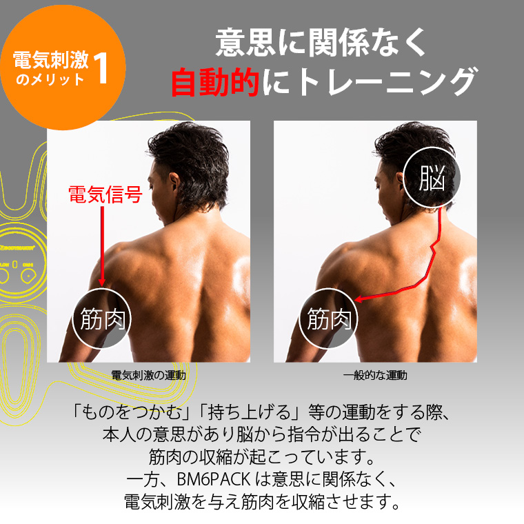ＢＭ ６ ＰＡＣＫ TG111｜BODYMAKER（ボディメーカー）公式 スポーツ 
