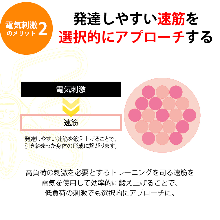 BM 6PACK 発達が目に見えやすい速筋に直接アプローチ