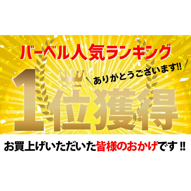 ハンマートーンプレート10kg 鉄 アイアン