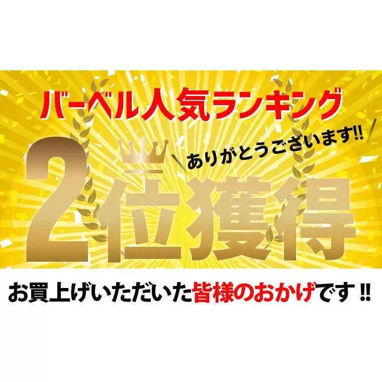 ハンマートーンプレート15kg HNM1500｜BODYMAKER（ボディ