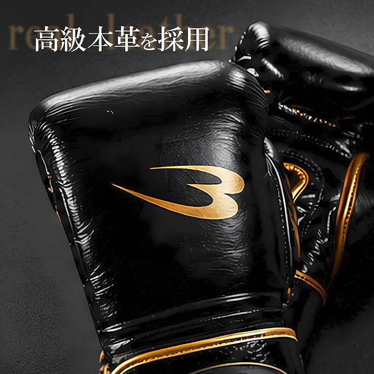 ボクシンググローブ　ＢＭ－ＰＲＯ　ＯＮＥ