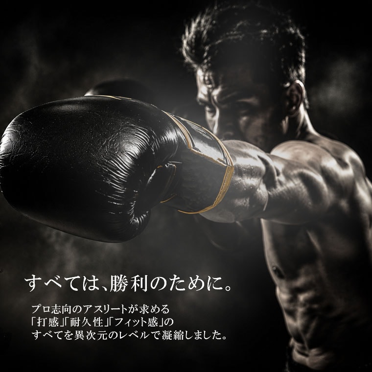 ボクシンググローブ　ＢＭ－ＰＲＯ　ＯＮＥ