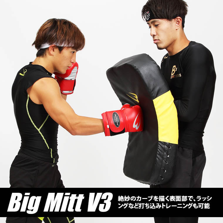 ビッグミット V3 格闘技