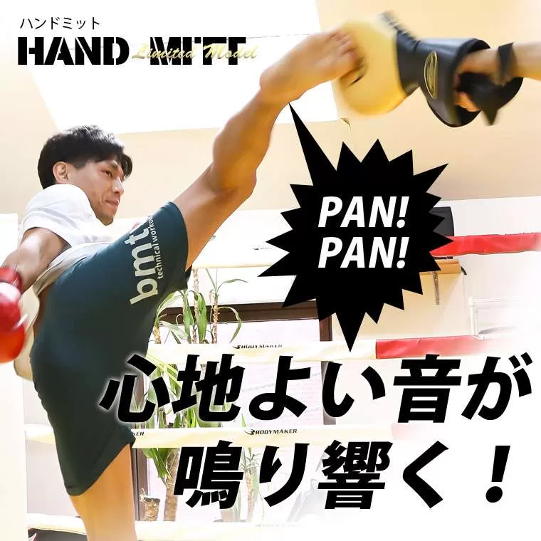 ハンドミット LIMITED MODEL フリー