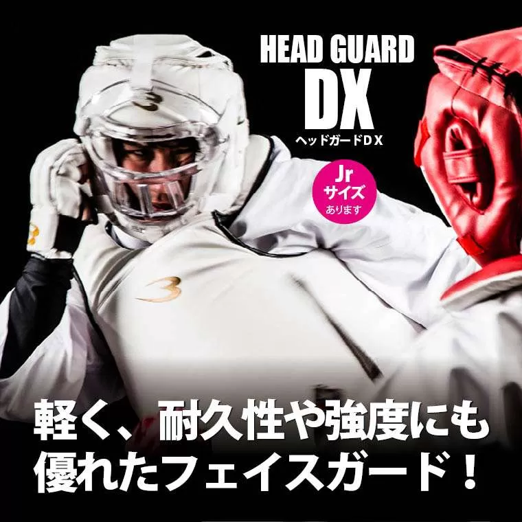 ヘッドガードDX