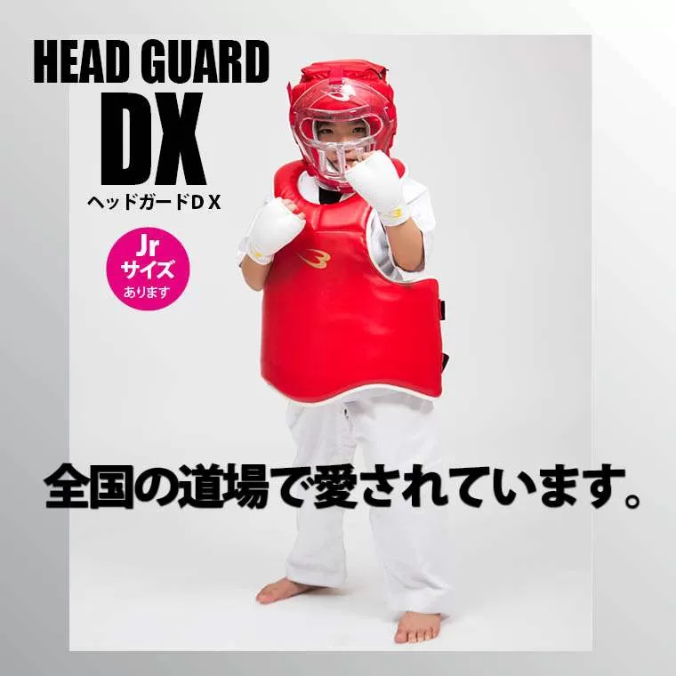ヘッドガードDX