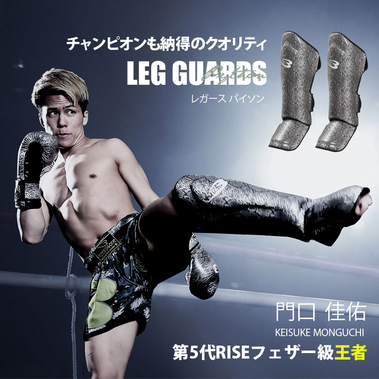 レガース パイソン