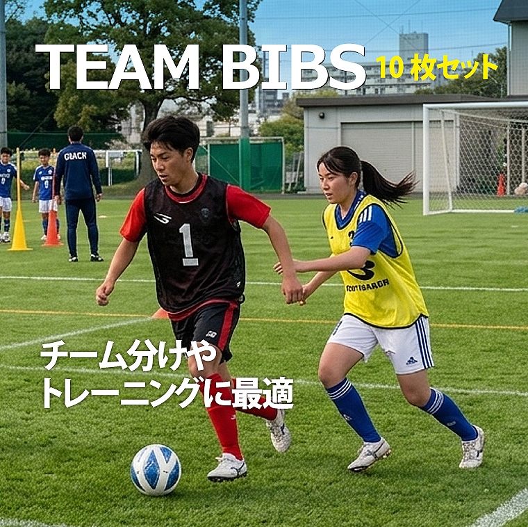チームビブス（10枚セット）