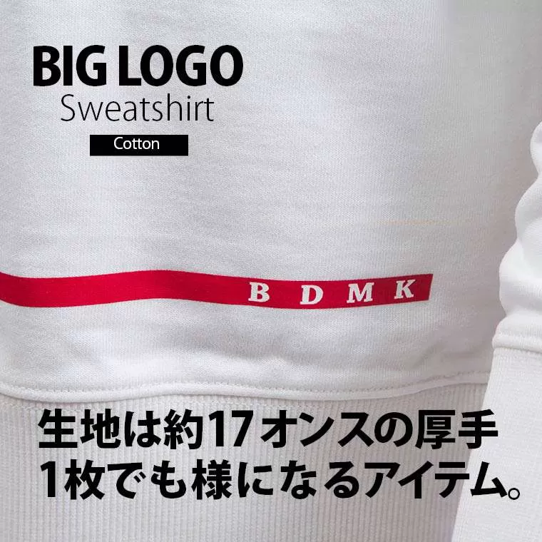 ビッグロゴヘビースウェット トレーナー
