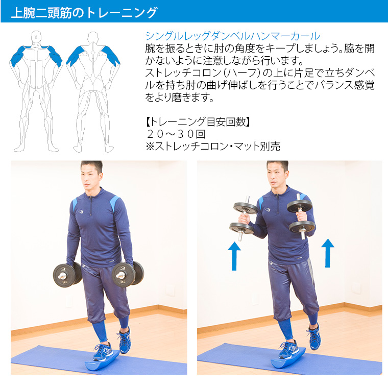 ラバーダンベルセットＮＲ４０ｋｇ PR003DST40｜BODYMAKER（ボディ ...