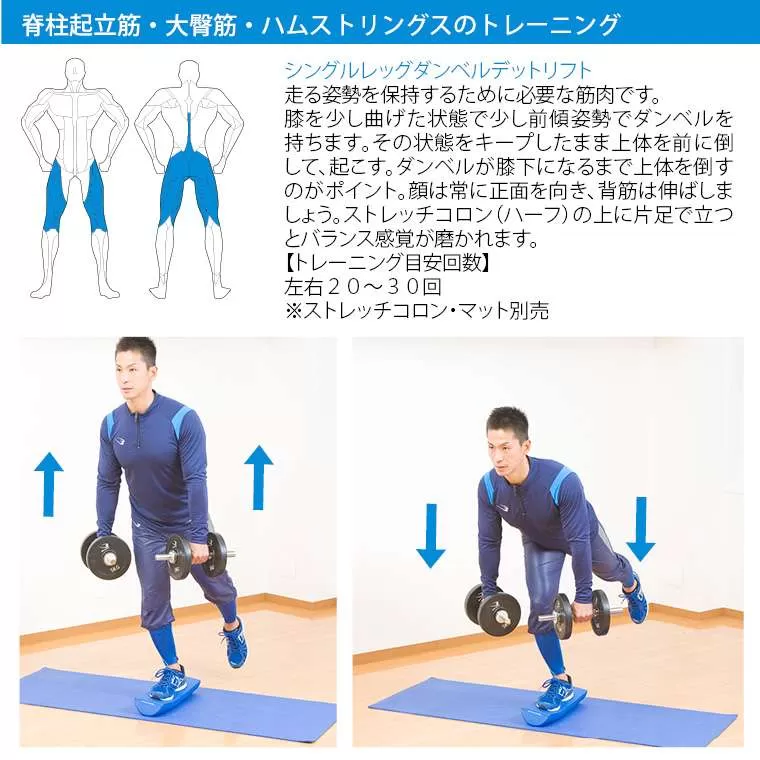 可変式ダンベルスタンドセット