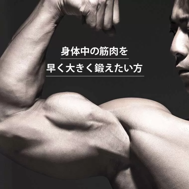 PUダンベル bmtw 15kg
