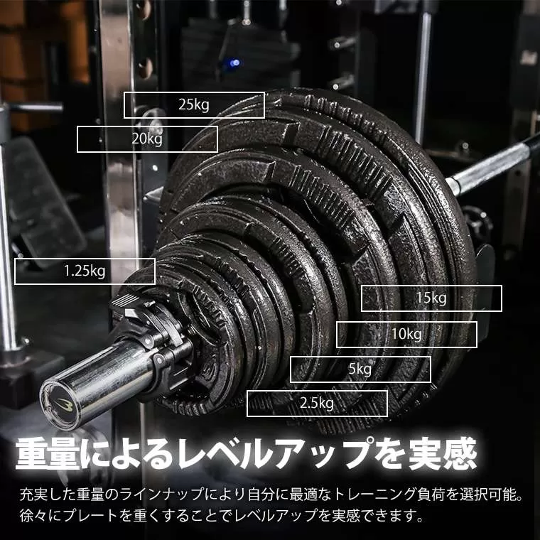 オリンピックハンマートーンプレート 1.25kg 2個セット
