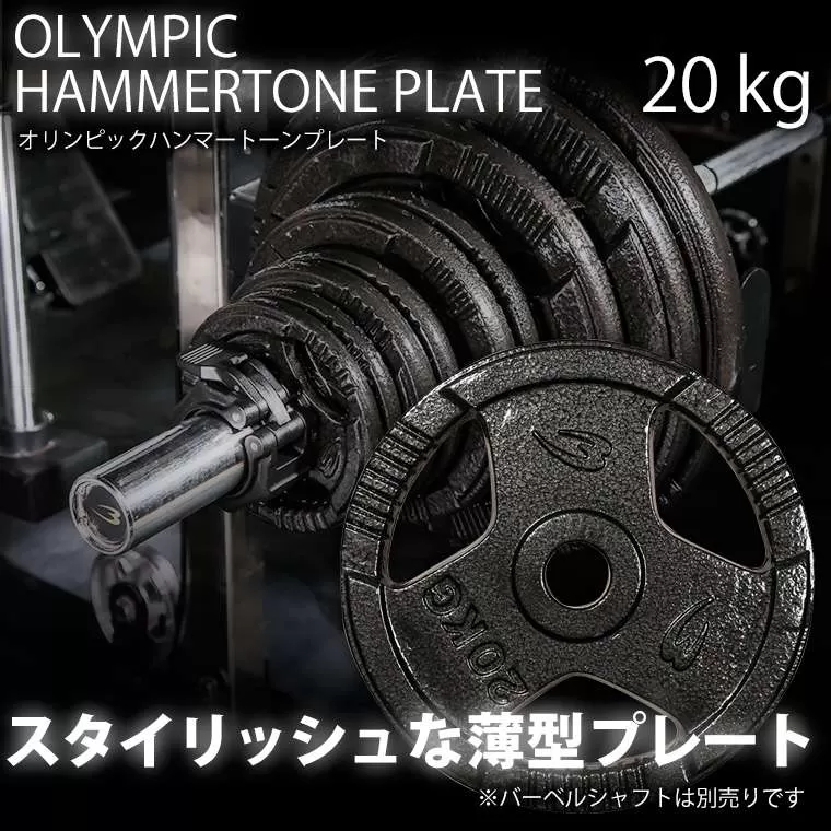 オリンピックハンマートーンプレート 20kg
