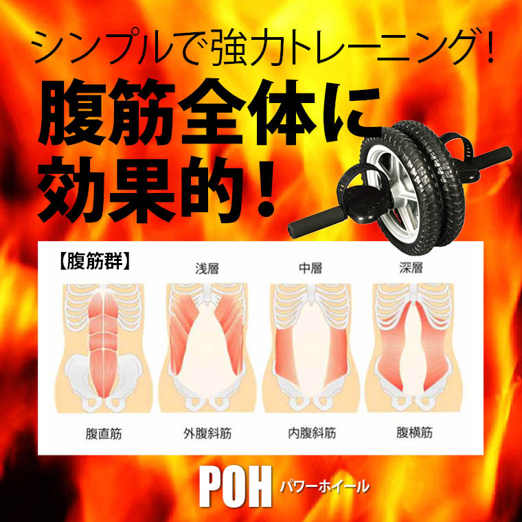 腹筋 腹直筋 腹横筋 腹斜筋 ハムストリング