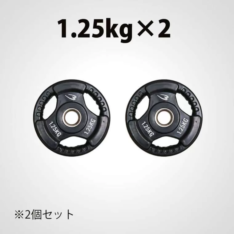 ラバープレート2 1.25kg 2個セット