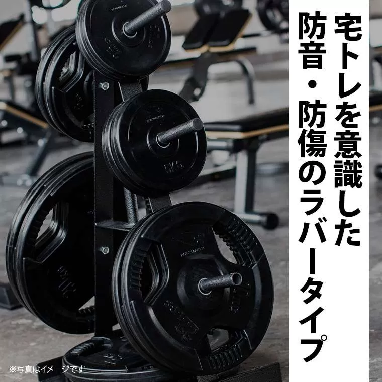 ラバープレート2 1.25kg 2個セット