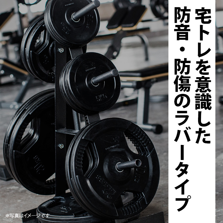 ラバープレート2 2.5kg 2個セット PR009250ST|BODYMAKER