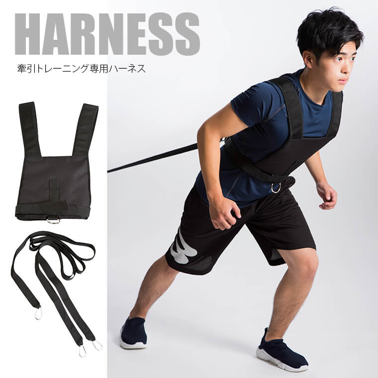 ハーネスメインイメージ