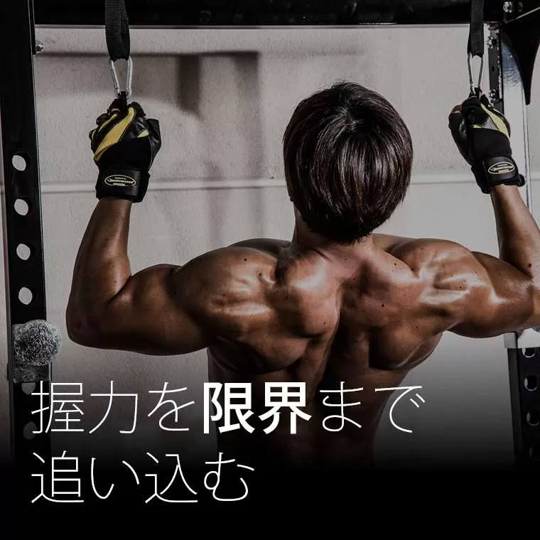 プルアップグリップボール 2個セット ブラック