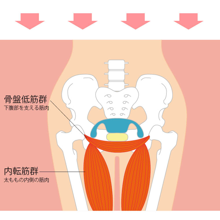 内転筋管