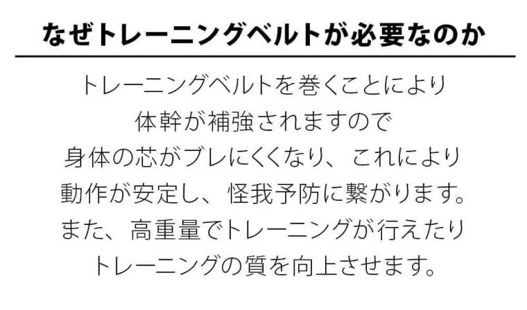 ウェイトリフティングベルト Vタイプ フリー