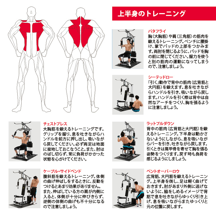 上半身のトレーニング