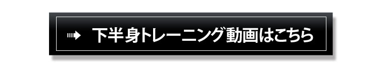 ホームジムDX トレーニングマットセット 下半身のトレーニング