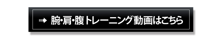 ホームジムDX トレーニングマットセット 腕・肩・腹のトレーニング