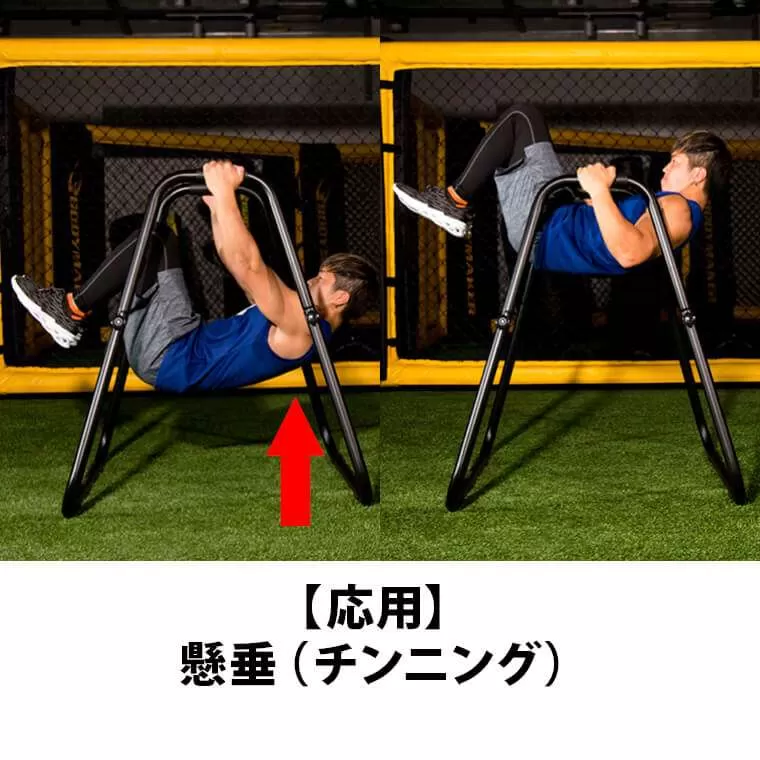 ダンベル&ディップスタンド 楽天市場】チン&ディッピングスタンド BODYMAKER ボディメーカー