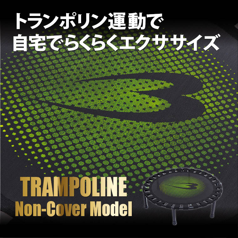 自宅でエクササイズ カロリー消費 ストレス発散