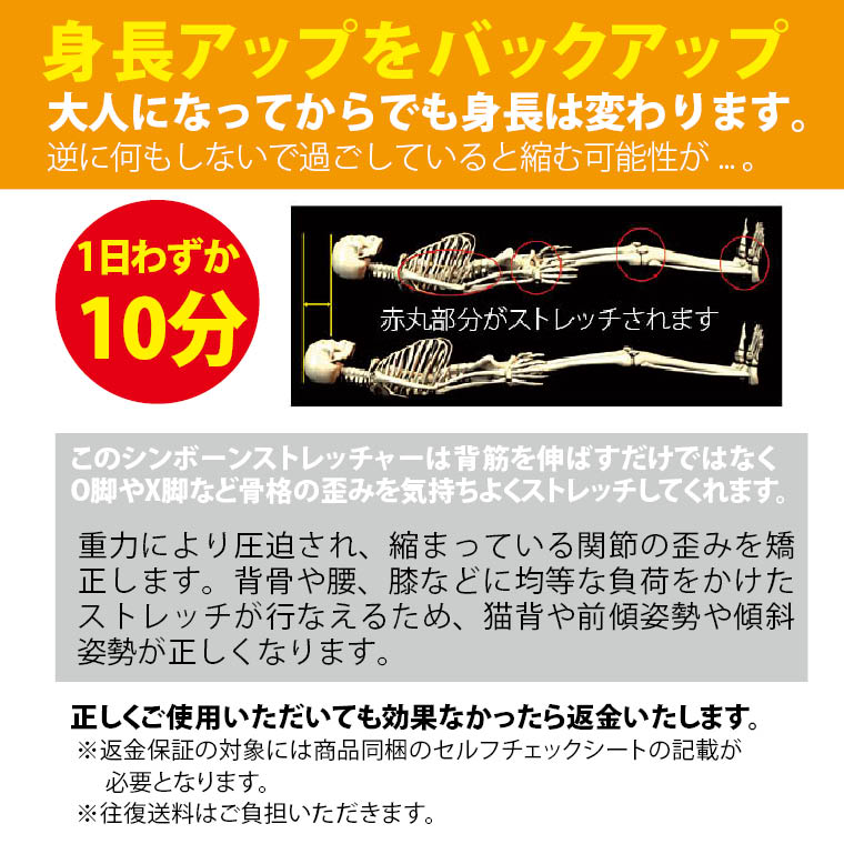 シンボーンストレッチャー