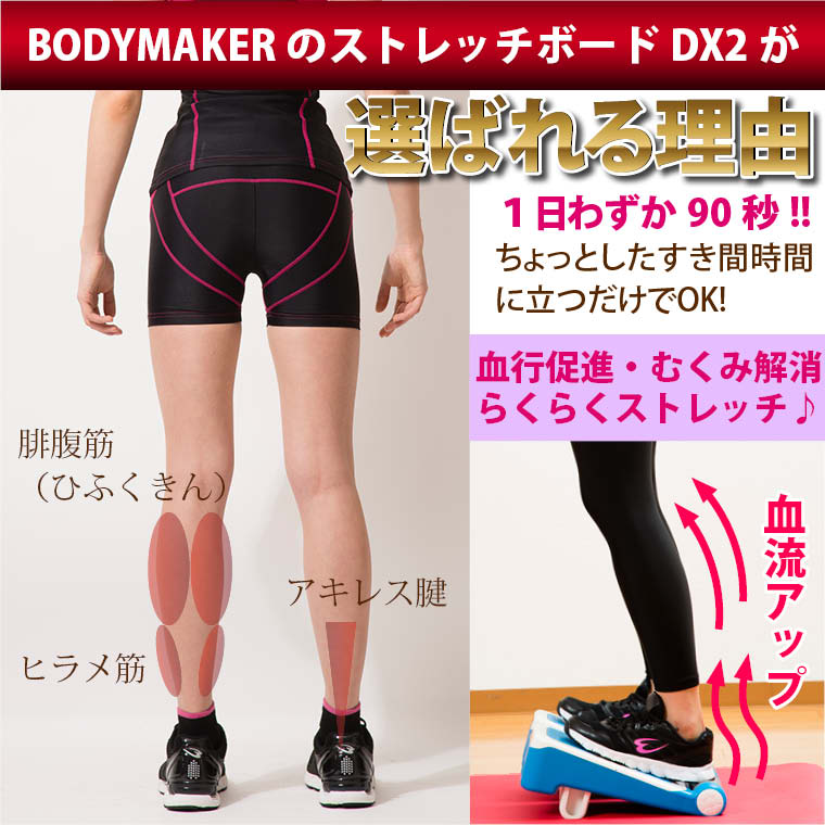 ストレッチボードＤＸ２ TG010｜BODYMAKER（ボディメーカー）公式 スポーツ用品・トレーニング用品通販サイト